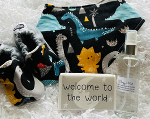 Dinosaurs Sleepy Baby Boy Bundle